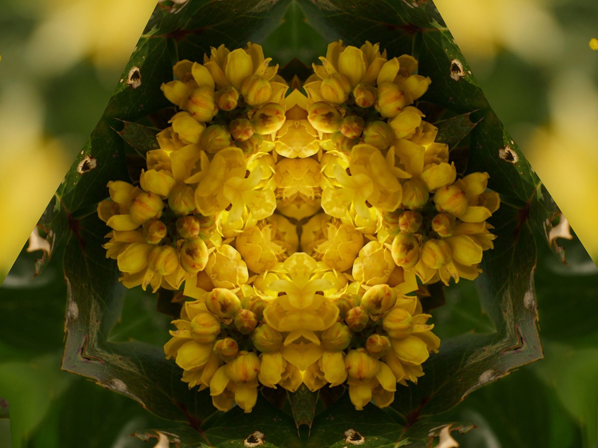 Kaleidoscopic Photography