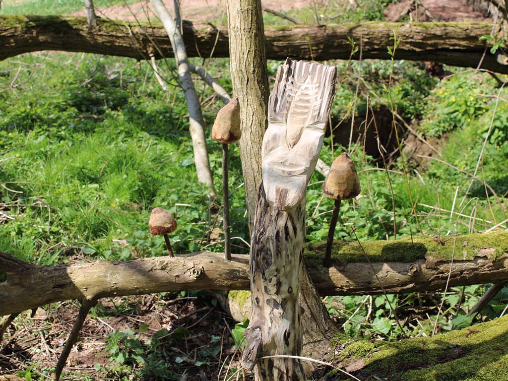 Woodland Mushroom Carving
